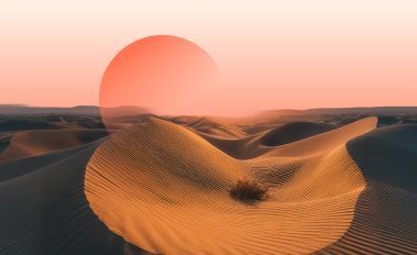 Article header image